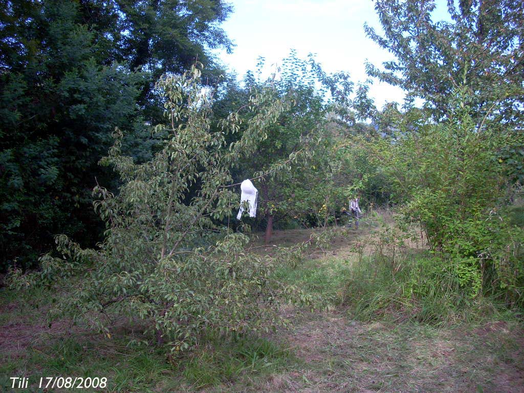 Foto de Oviedo (Asturias), España