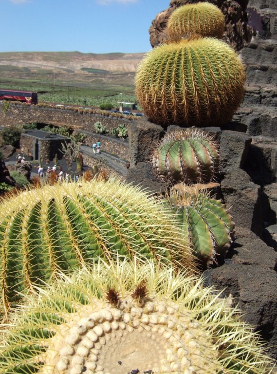 Foto de Lanzarote (Las Palmas), España