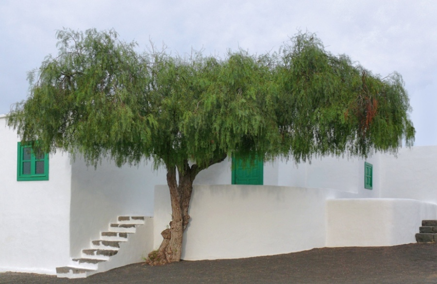 Foto de Lanzarote (Las Palmas), España
