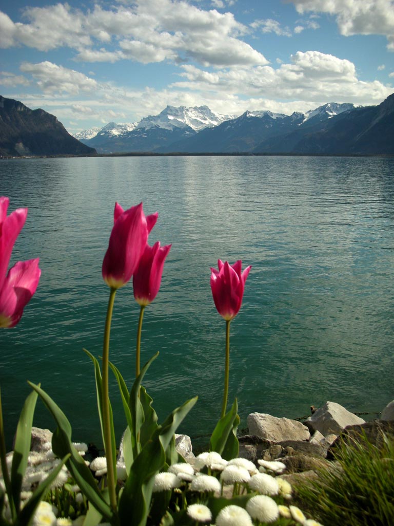 Foto de Montreux, Suiza