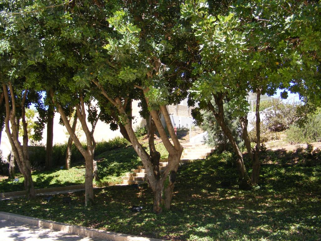 Foto de Jerusalén, Israel