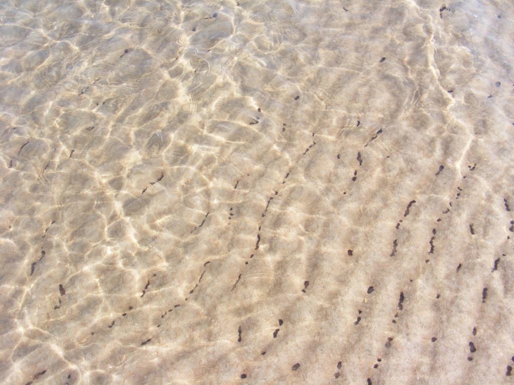 Foto de Ein Gedi, Israel