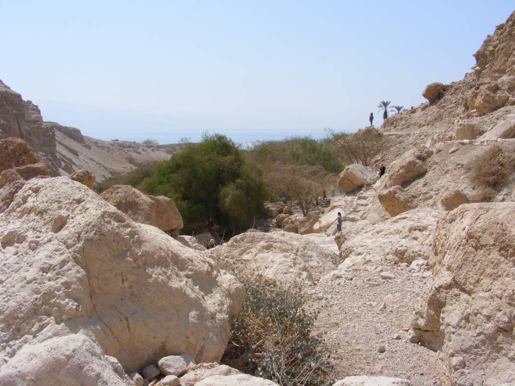 Foto de Ein Gedi, Israel