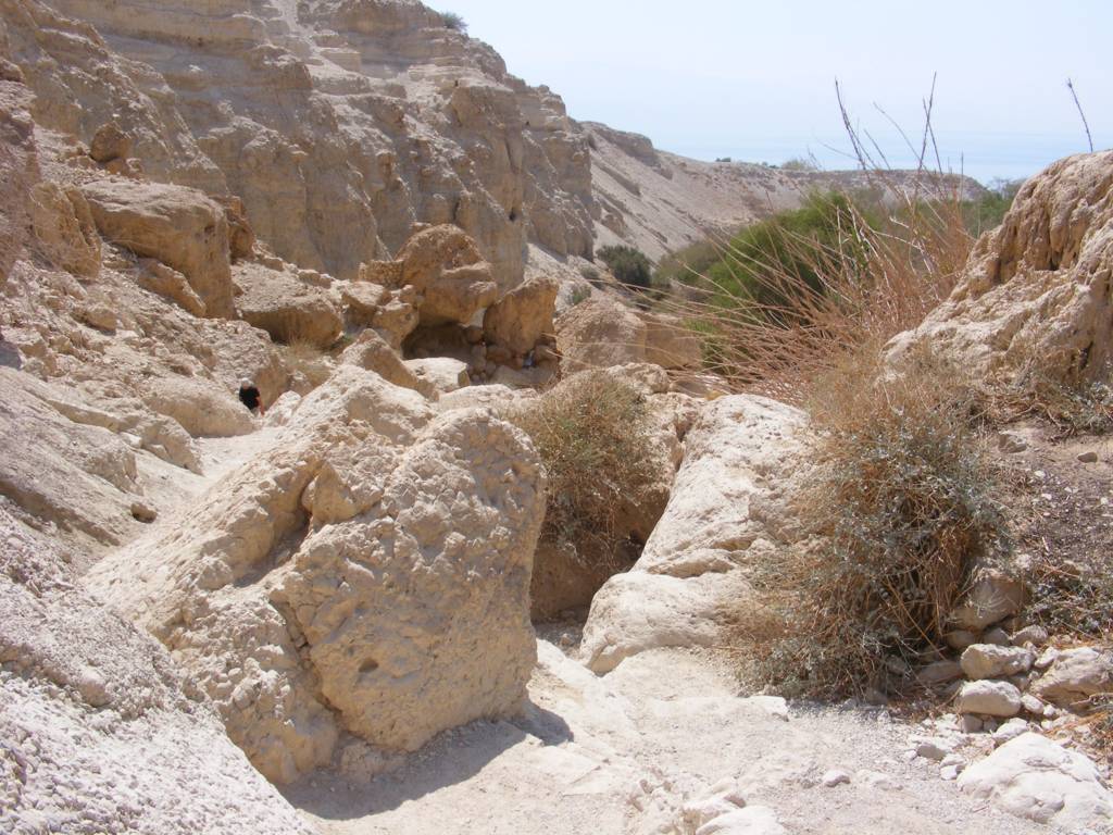 Foto de Ein Gedi, Israel