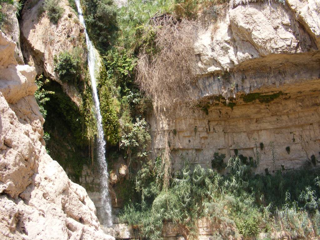 Foto de Ein Gedi, Israel