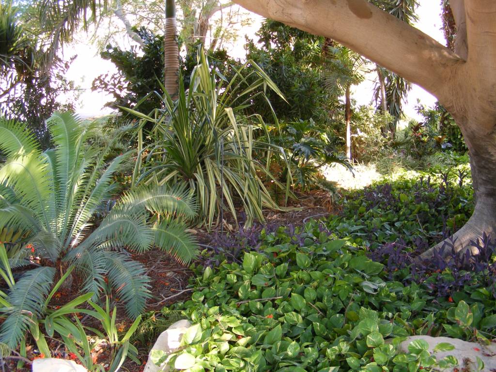 Foto de Ein Gedi, Israel