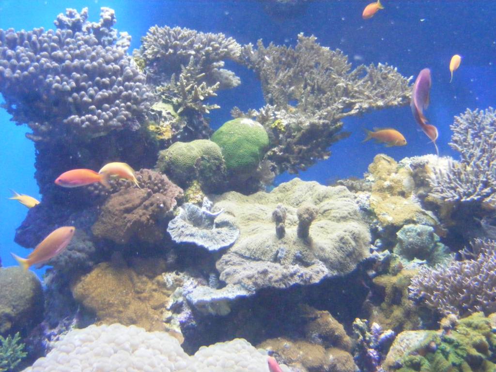 Foto de Eilat, Israel