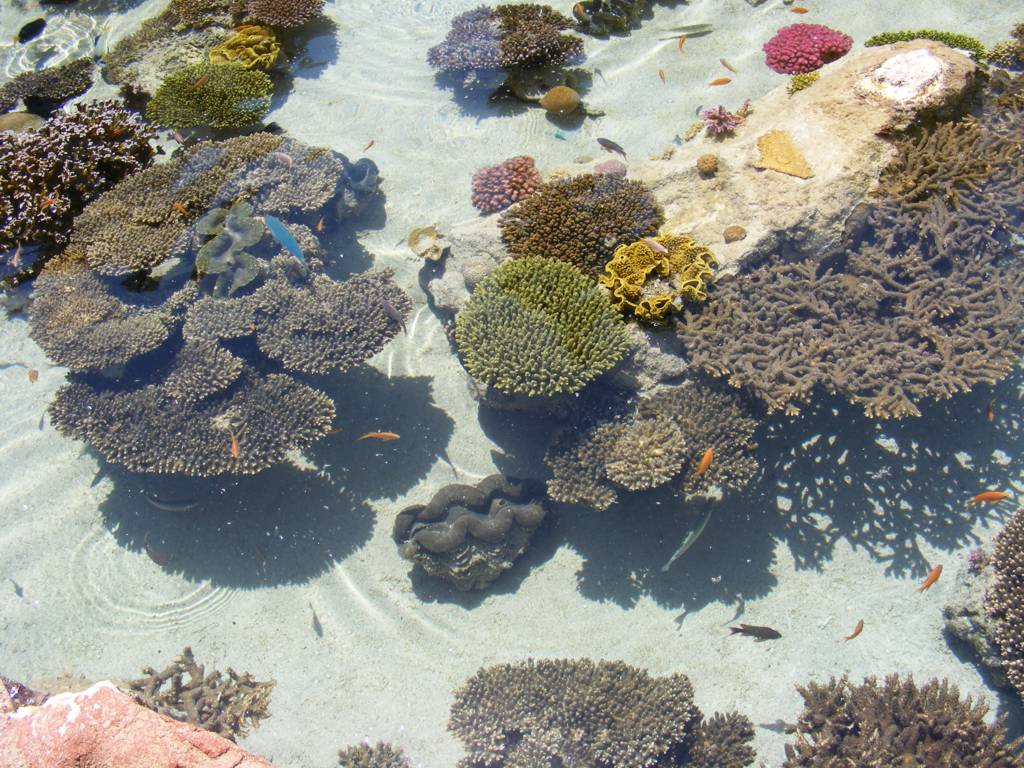 Foto de Eilat, Israel