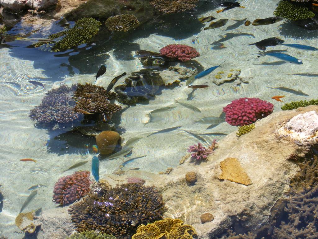 Foto de Eilat, Israel