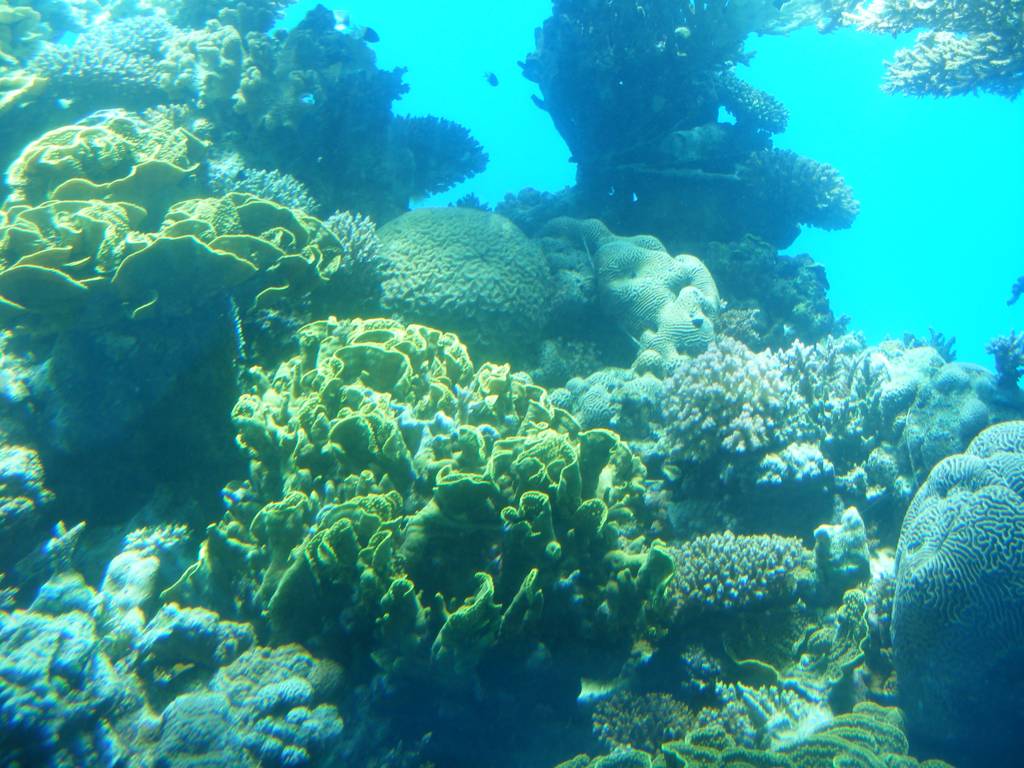 Foto de Eilat, Israel