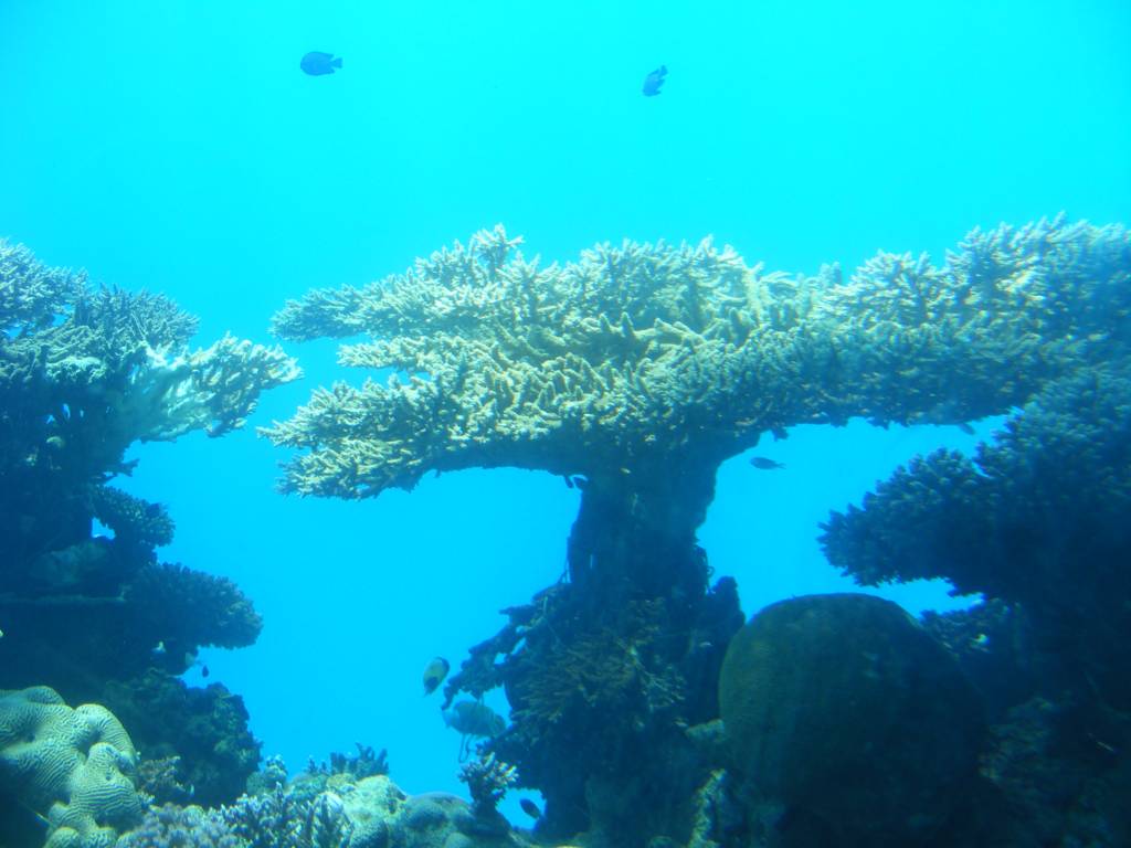 Foto de Eilat, Israel