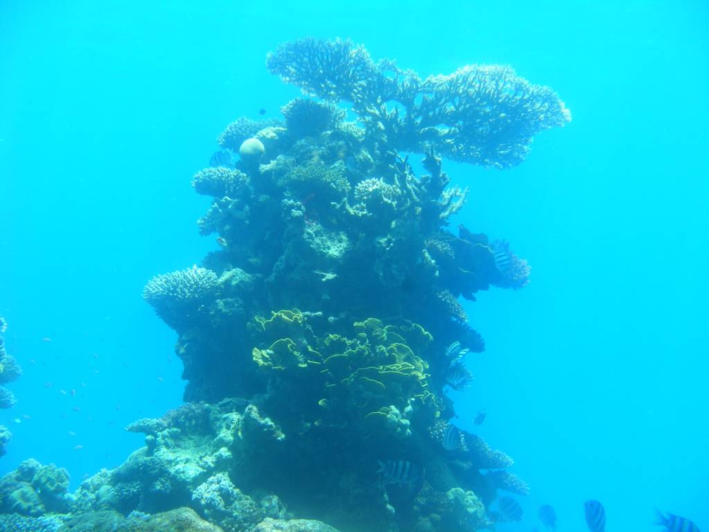 Foto de Eilat, Israel