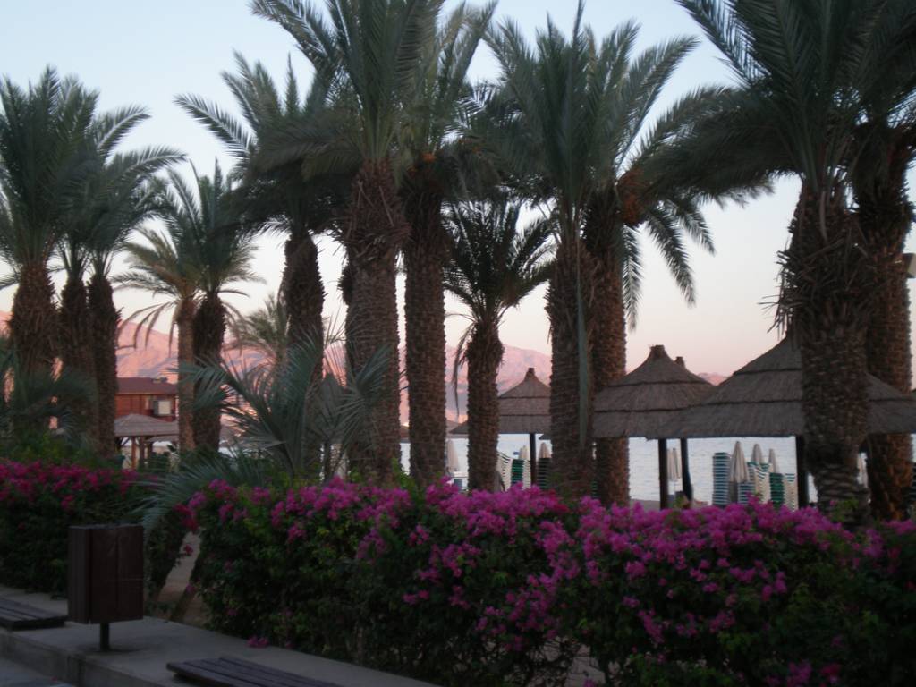 Foto de Eilat, Israel