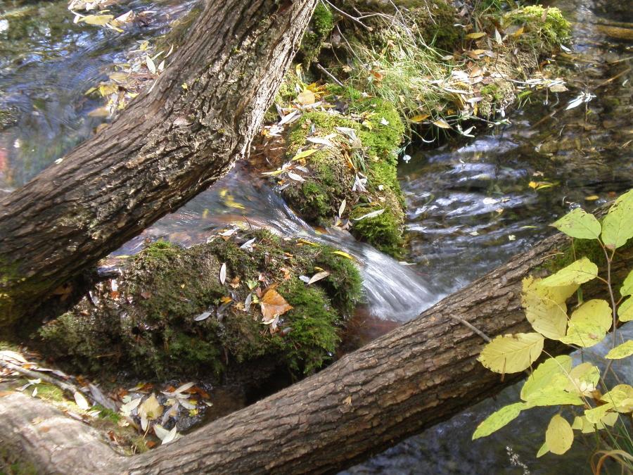 Foto de Vega del Codorno (Cuenca), España