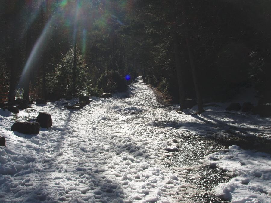 Foto de Ordesa (Huesca), España