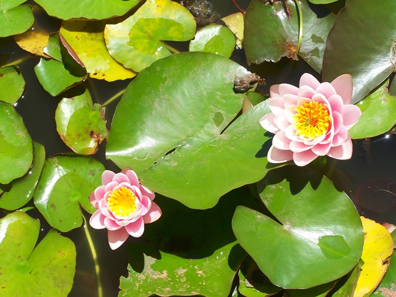 Foto de Buenos Aires, Argentina