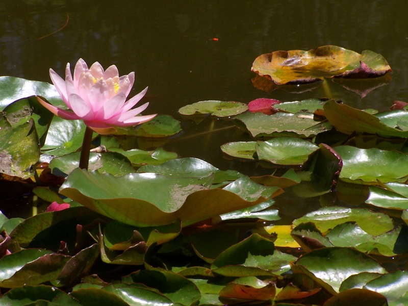 Foto de Buenos Aires, Argentina