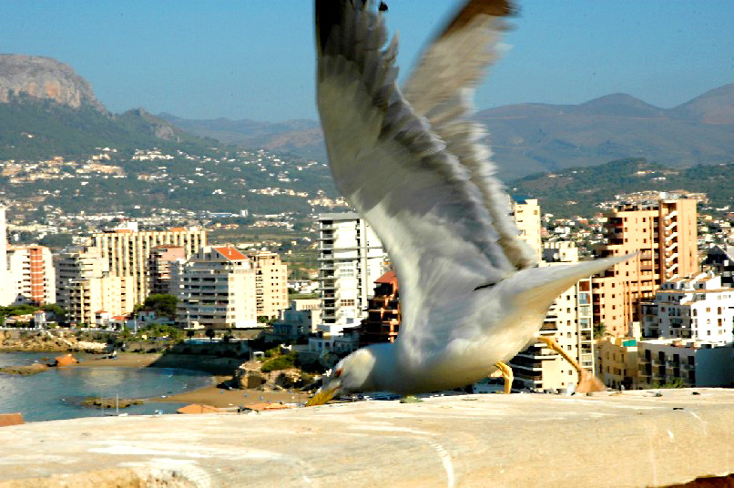 Foto de Calpe (Alicante), España