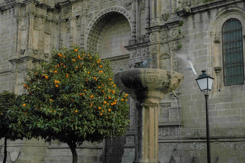 Foto de Plasencia (Cáceres), España