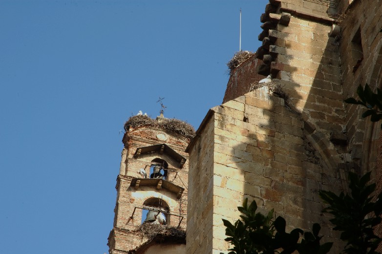 Foto de Plasencia (Cáceres), España