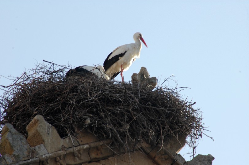 Foto de Plasencia (Cáceres), España