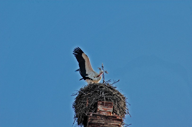 Foto de Plasencia (Cáceres), España