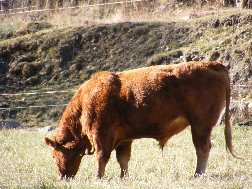 Foto de La Cortinada, Andorra