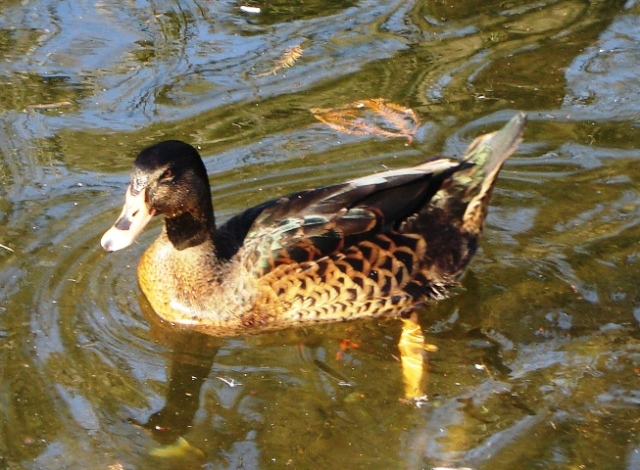 Foto de Buenos Aires, Argentina