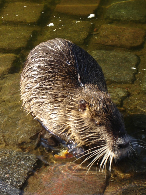 Foto de Buenos Aires, Argentina