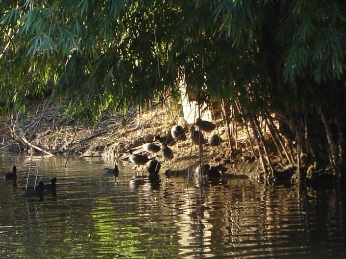 Foto de Buenos Aires, Argentina