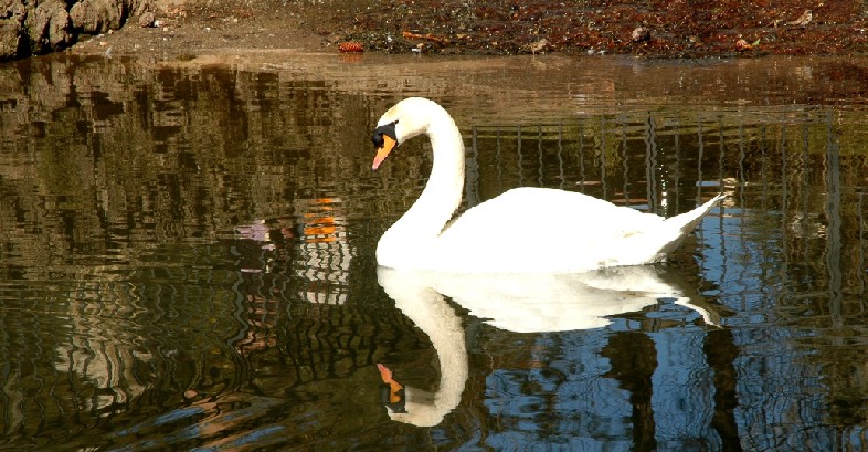 Foto de Plasencia (Cáceres), España