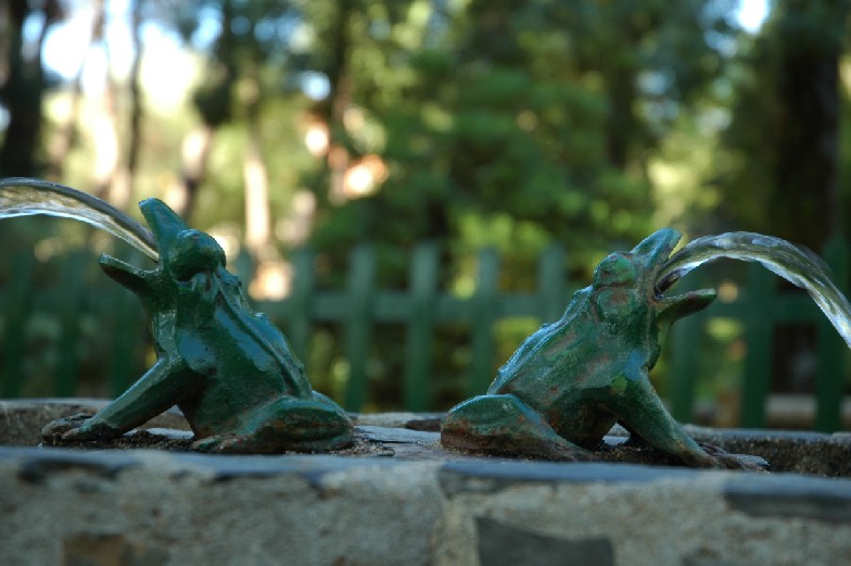 Foto de Plasencia (Cáceres), España