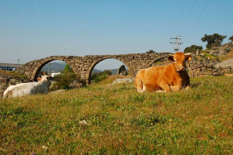Foto de Plasencia (Cáceres), España