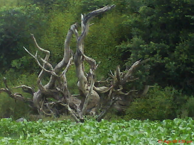 Foto de Suchitoto, El Salvador