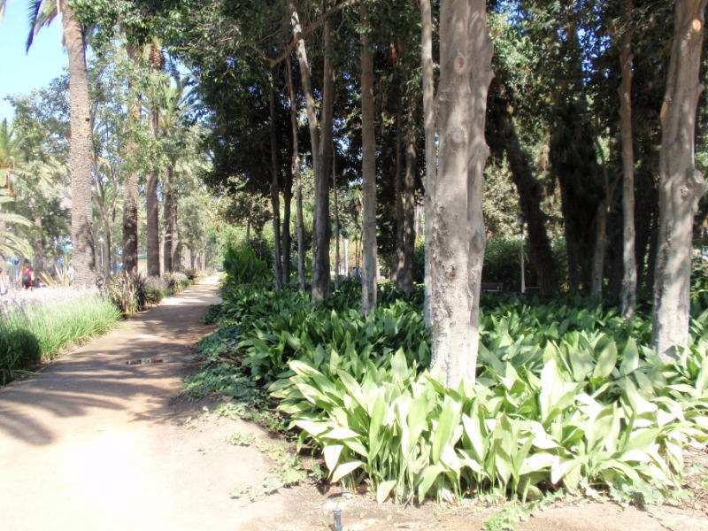 Foto de Málaga (Andalucía), España