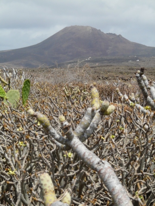Foto de Lanzarote (Las Palmas), España