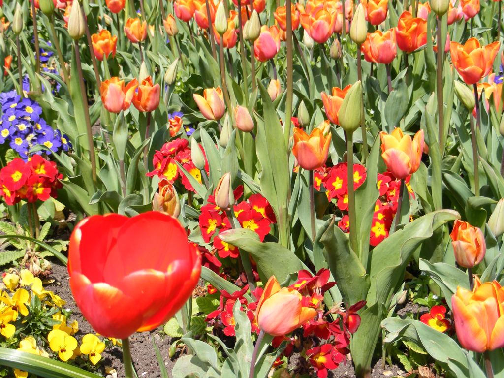 Foto de Dublín, Irlanda