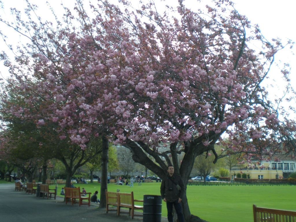 Foto de Dublín, Irlanda