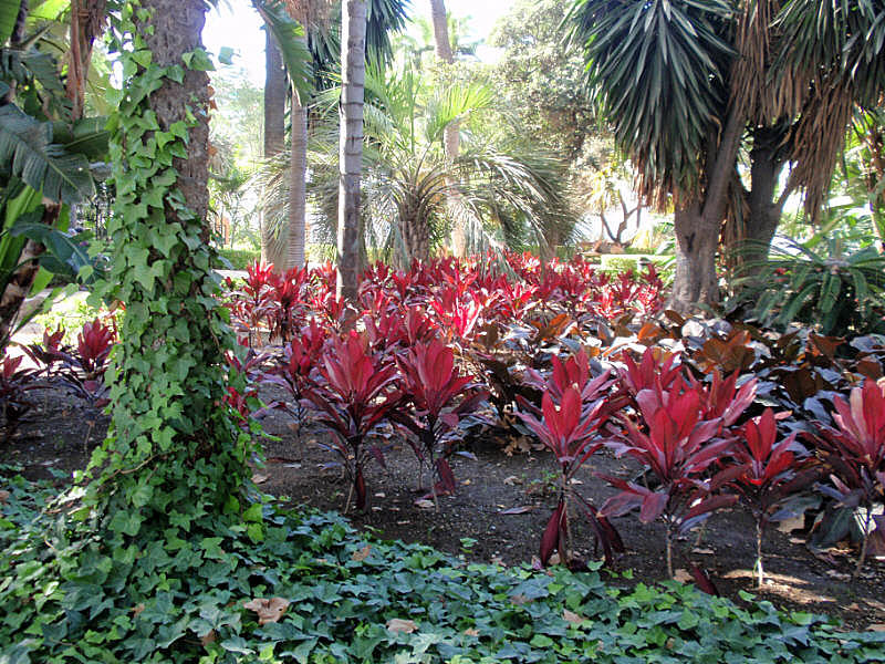 Foto de Málaga (Andalucía), España