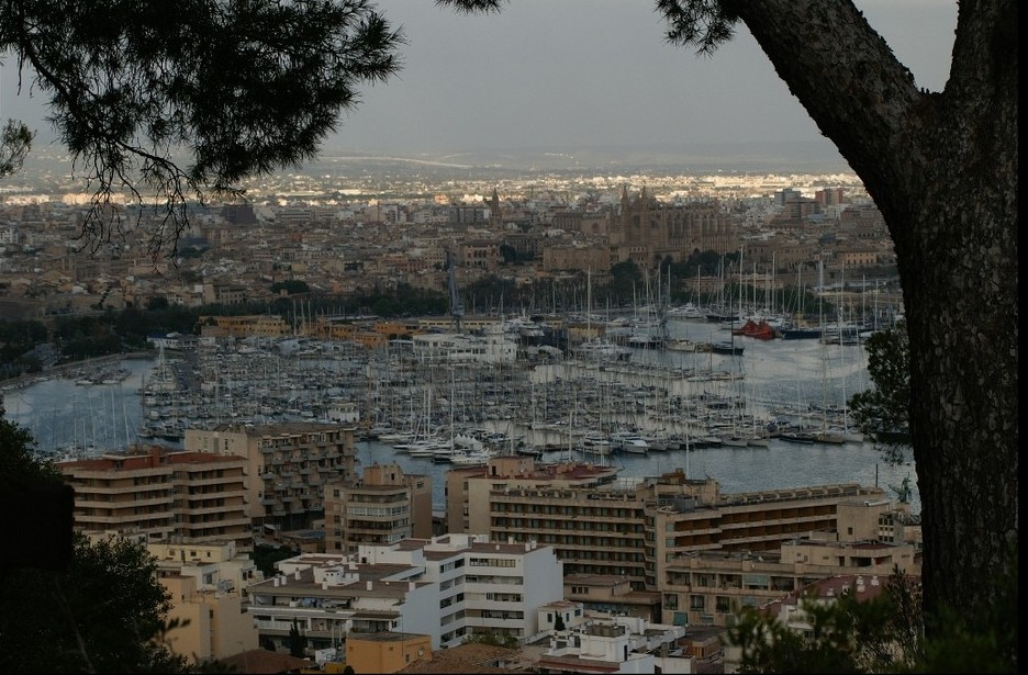 Foto de Mallorca (Illes Balears), España