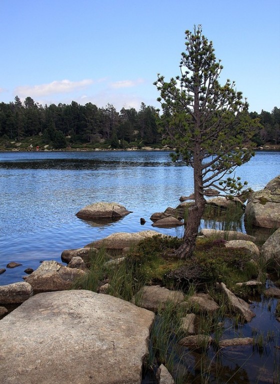 Foto de La Cerdanya (Girona), España