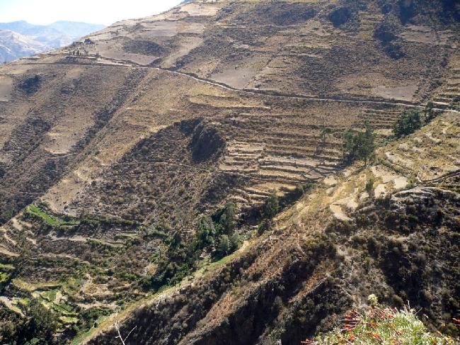 Foto de Querco, Perú