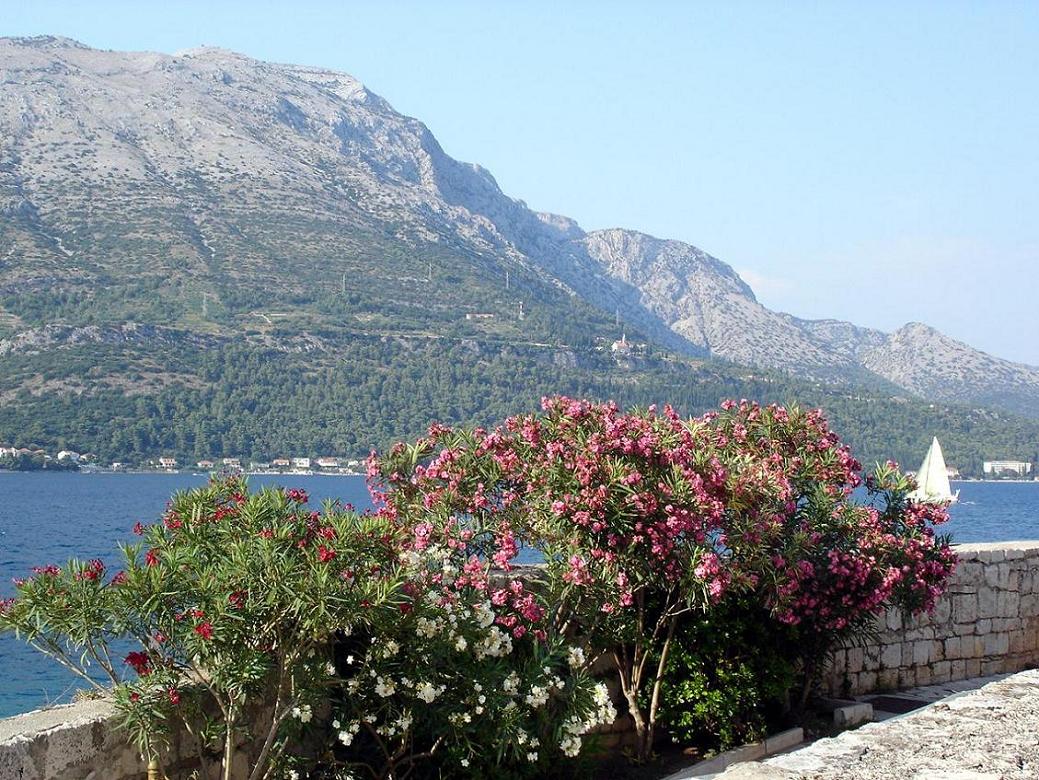 Foto de Korcula, Croacia