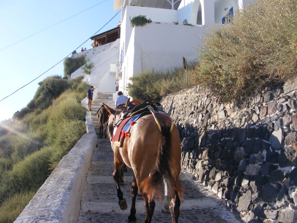 Foto de Fira (Thira), Grecia