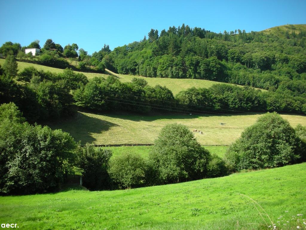 Foto de Pola de Allande (Asturias), España
