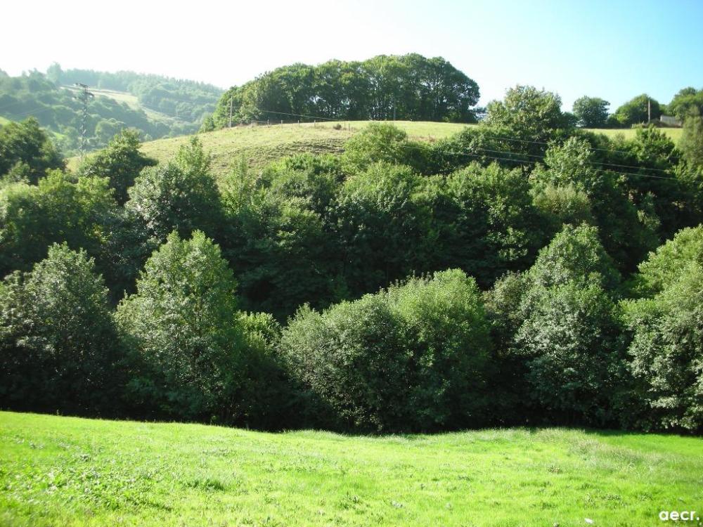Foto de Pola de Allande (Asturias), España
