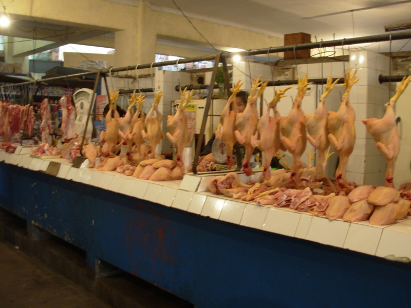 Foto de Tacna, Perú