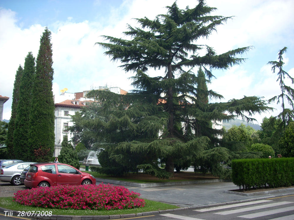 Foto de Oviedo (Asturias), España