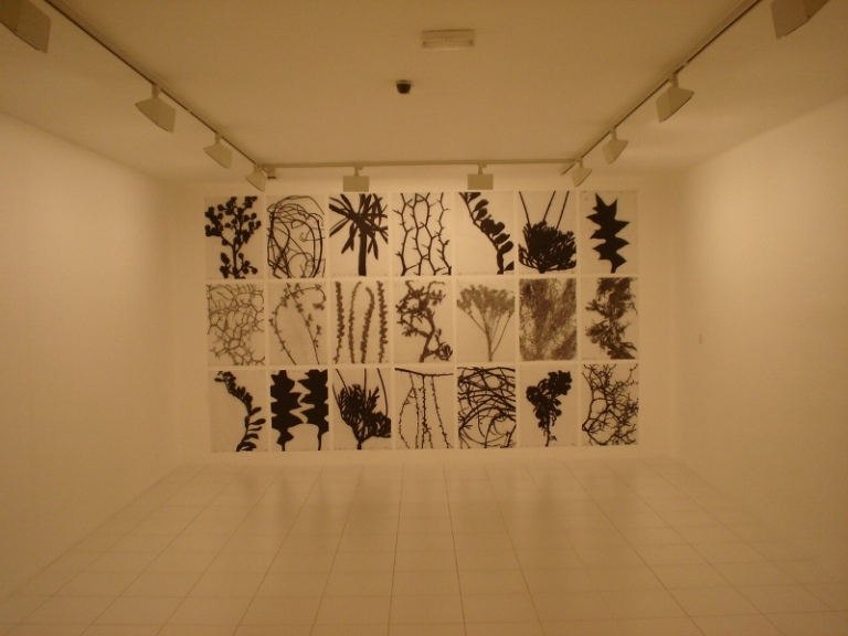 Foto de Lanzarote (Las Palmas), España