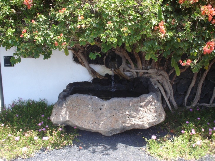 Foto de Lanzarote (Las Palmas), España